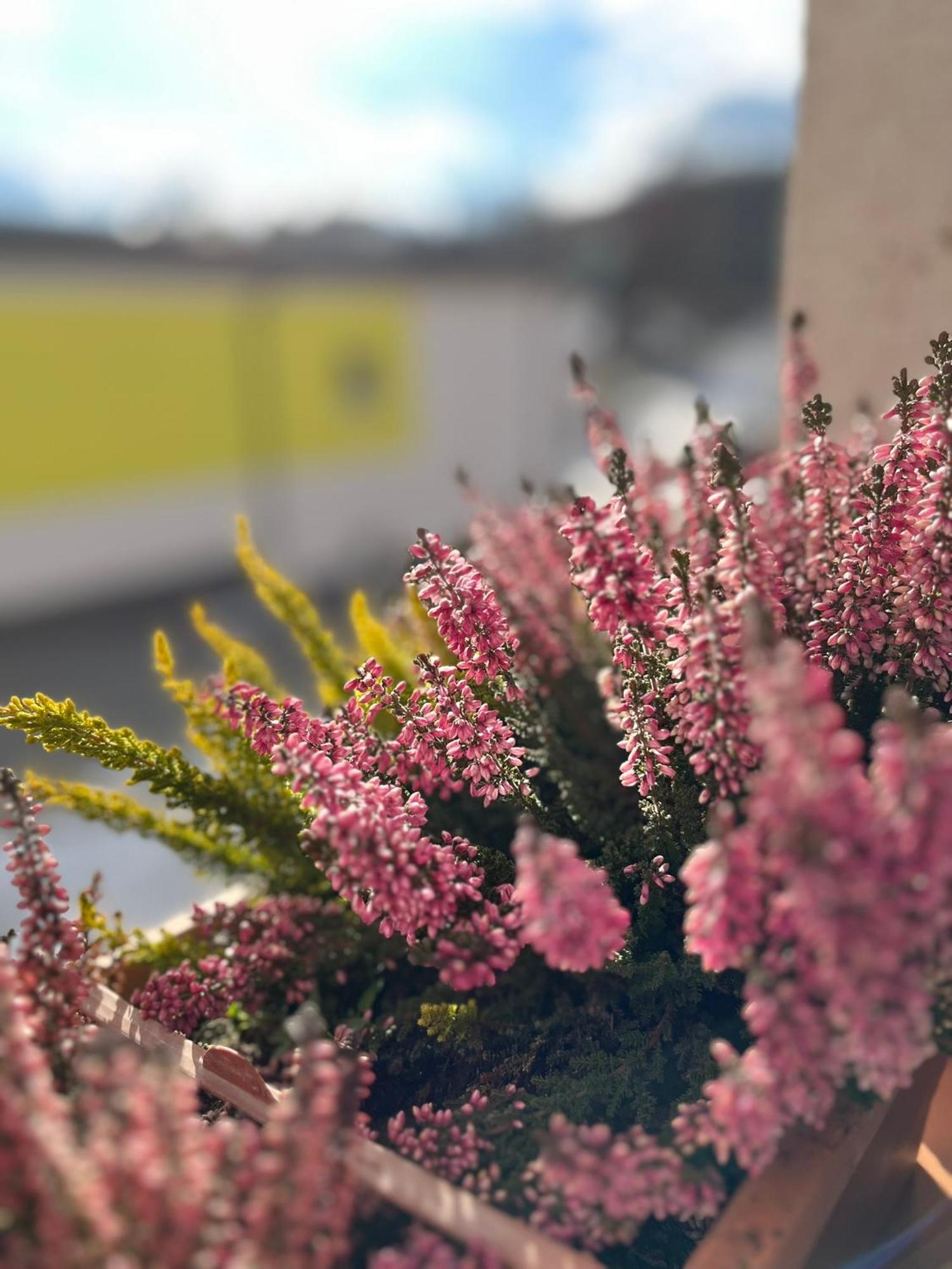 Vila Dravce Bagian luar foto