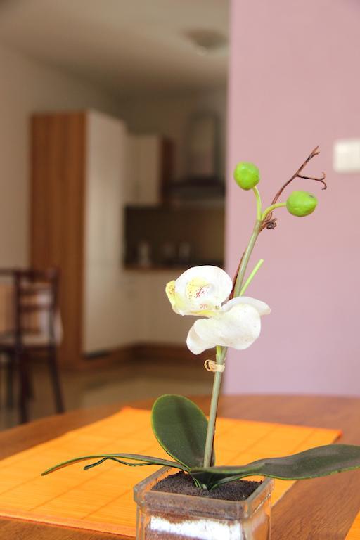 Vila Dravce Ruang foto