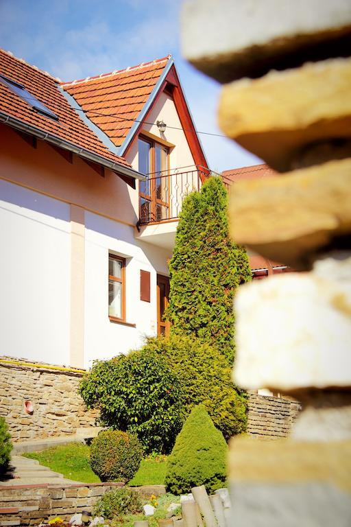 Vila Dravce Bagian luar foto